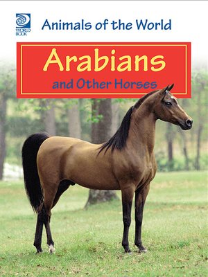cover image of Arabians and Other Horses